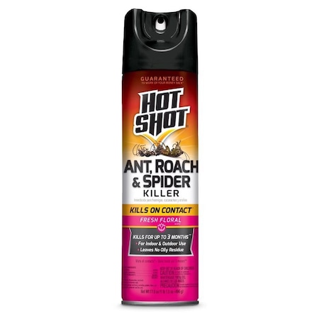 Hot Shot Hot Shot Ant and Roach Killer Aerosol 17.5 oz HG-96781